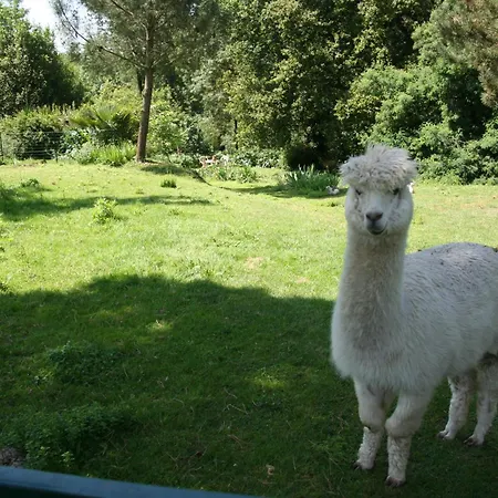 à La Campagne Basse-Goulaine