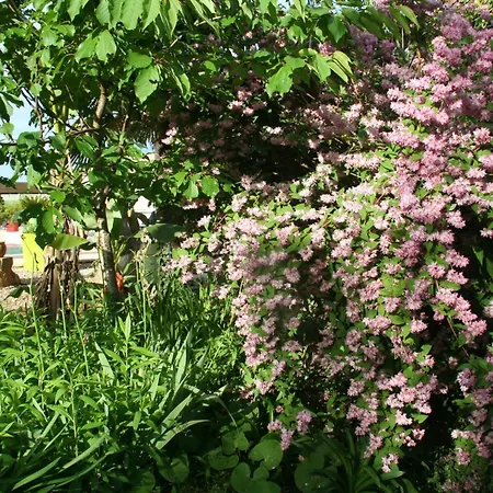 A La Campagne فندق مبيت وإفطار 4*