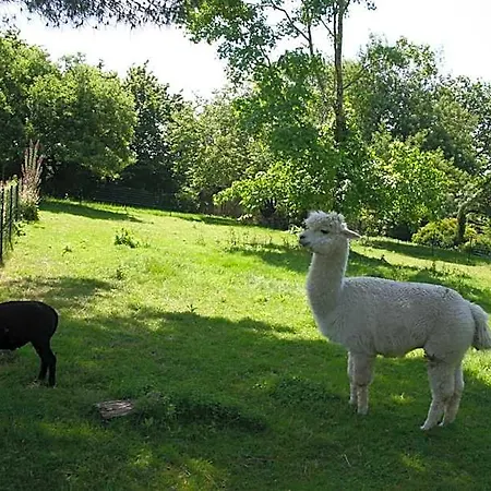 Bed & Breakfast A La Campagne 4*