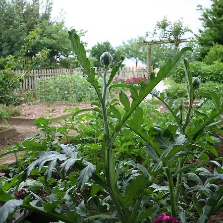 à La Campagne Basse-Goulaine