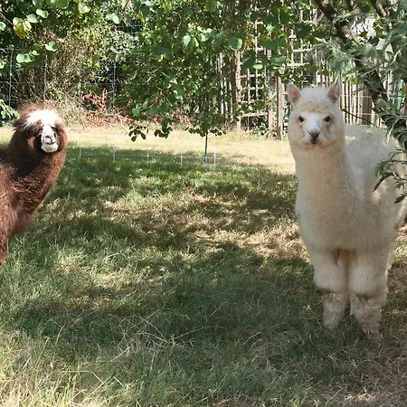 A La Campagne 4* Basse-Goulaine