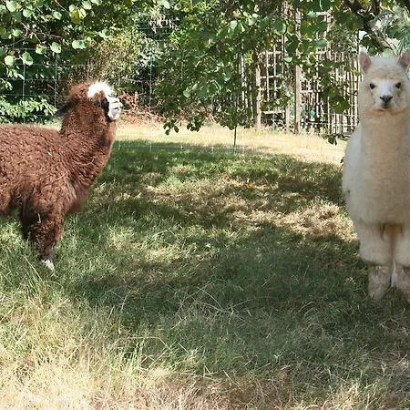A La Campagne فندق مبيت وإفطار